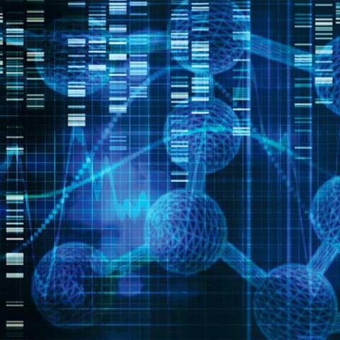 Khám phá về bộ gen người