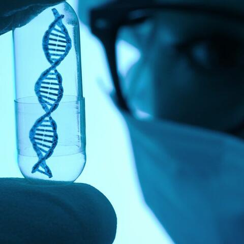 Đặc điểm của bộ Gene người