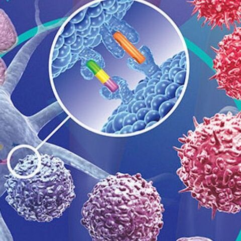 Điều trị xơ gan bằng phương pháp cấy ghép tế bào gốc